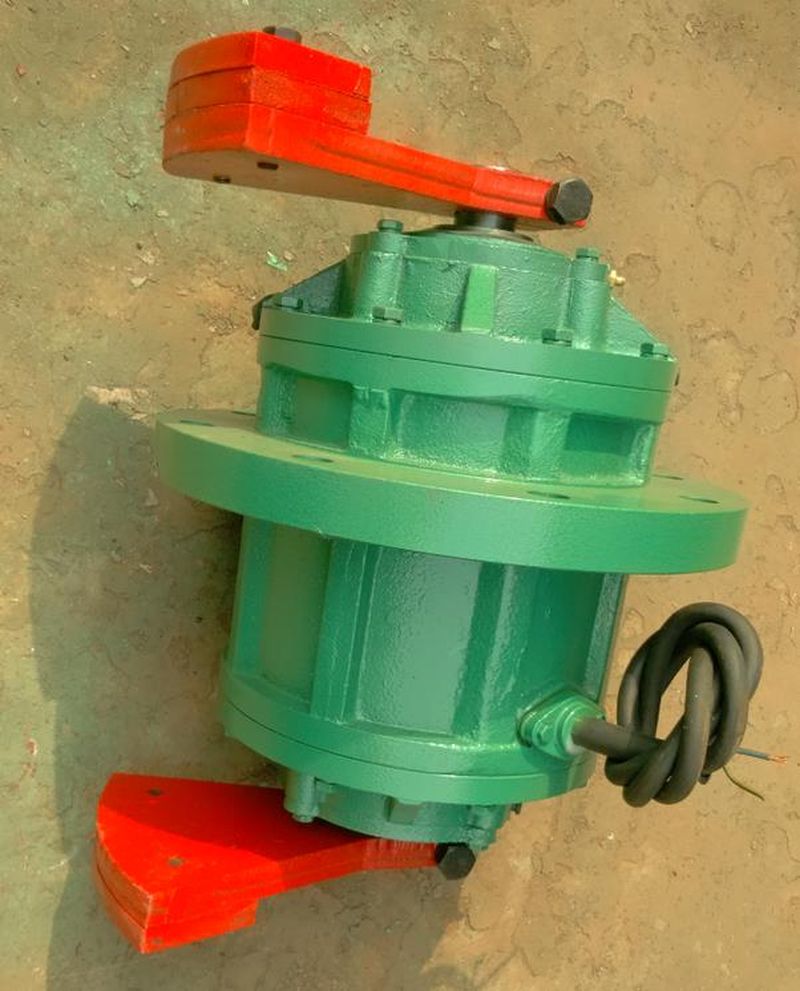 立式振動電機(jī)1 (2)